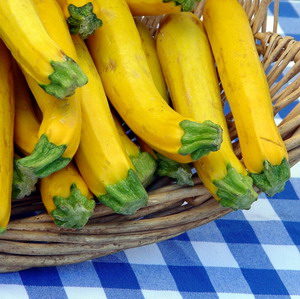 2011/11/zucchine_03.jpg