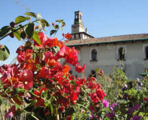 2014/03/Cusago_in_fiore_0099e6a6.JPG