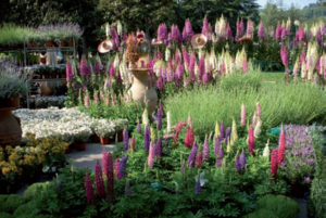 2014/04/giardini_e_terrazzi_c79b2edd.jpg
