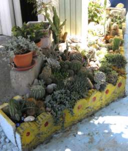 difendere le piante caldo