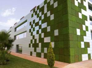 verde verticale