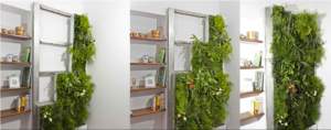 verde verticale