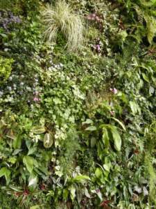 verde verticale