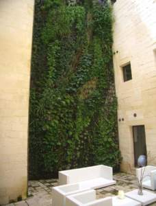 verde verticale