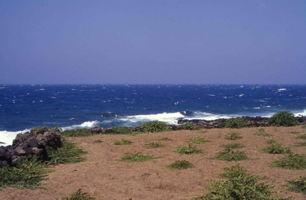 1pantelleria_capparis_G