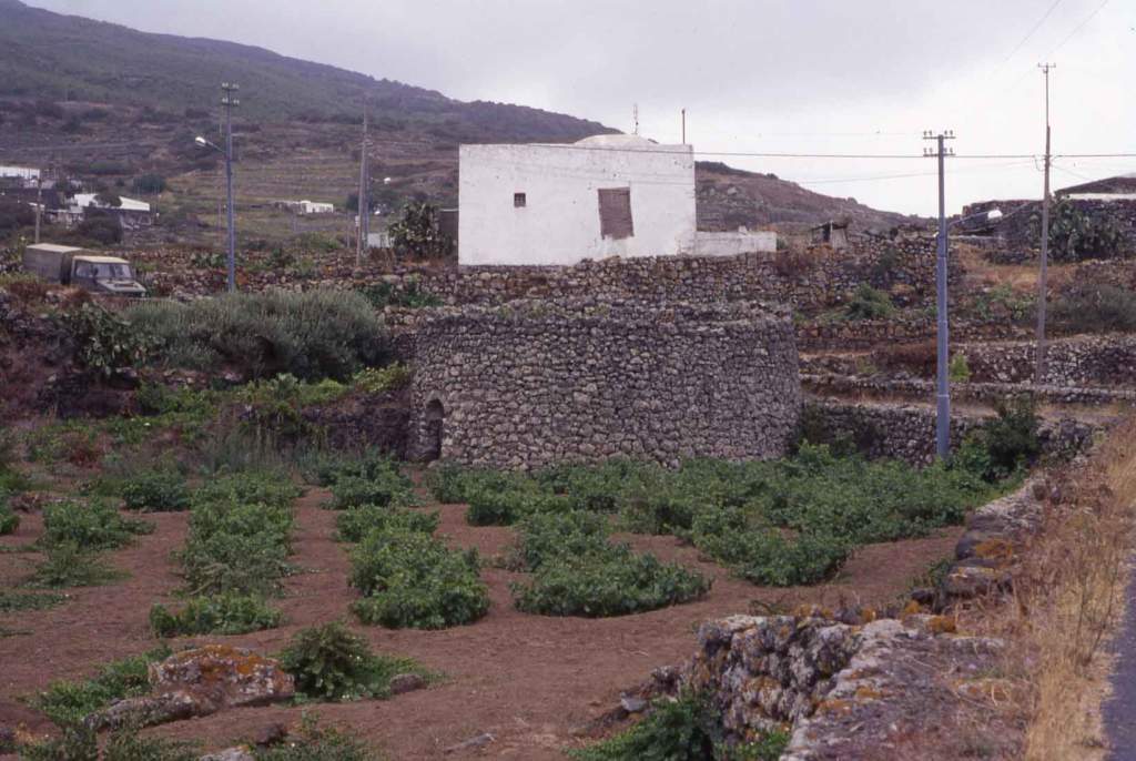 4pantelleria_giardino