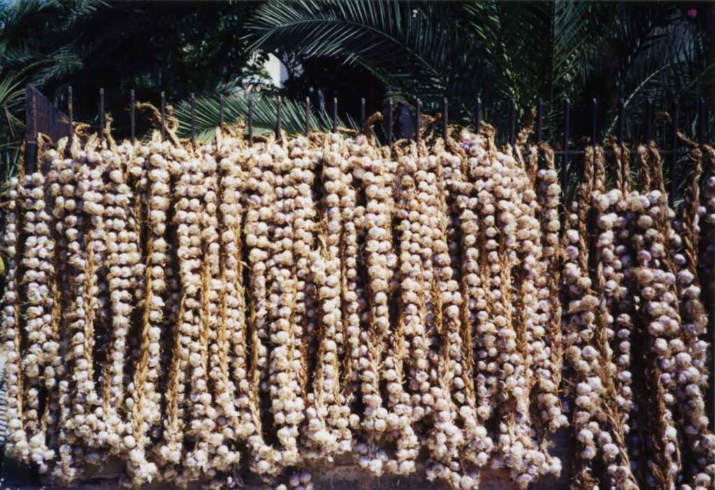 pantelleria_aglio