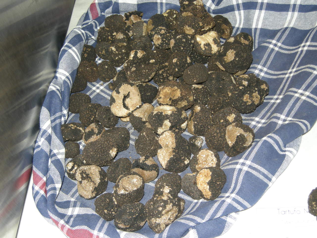 Tartufo scorzone nero estivo