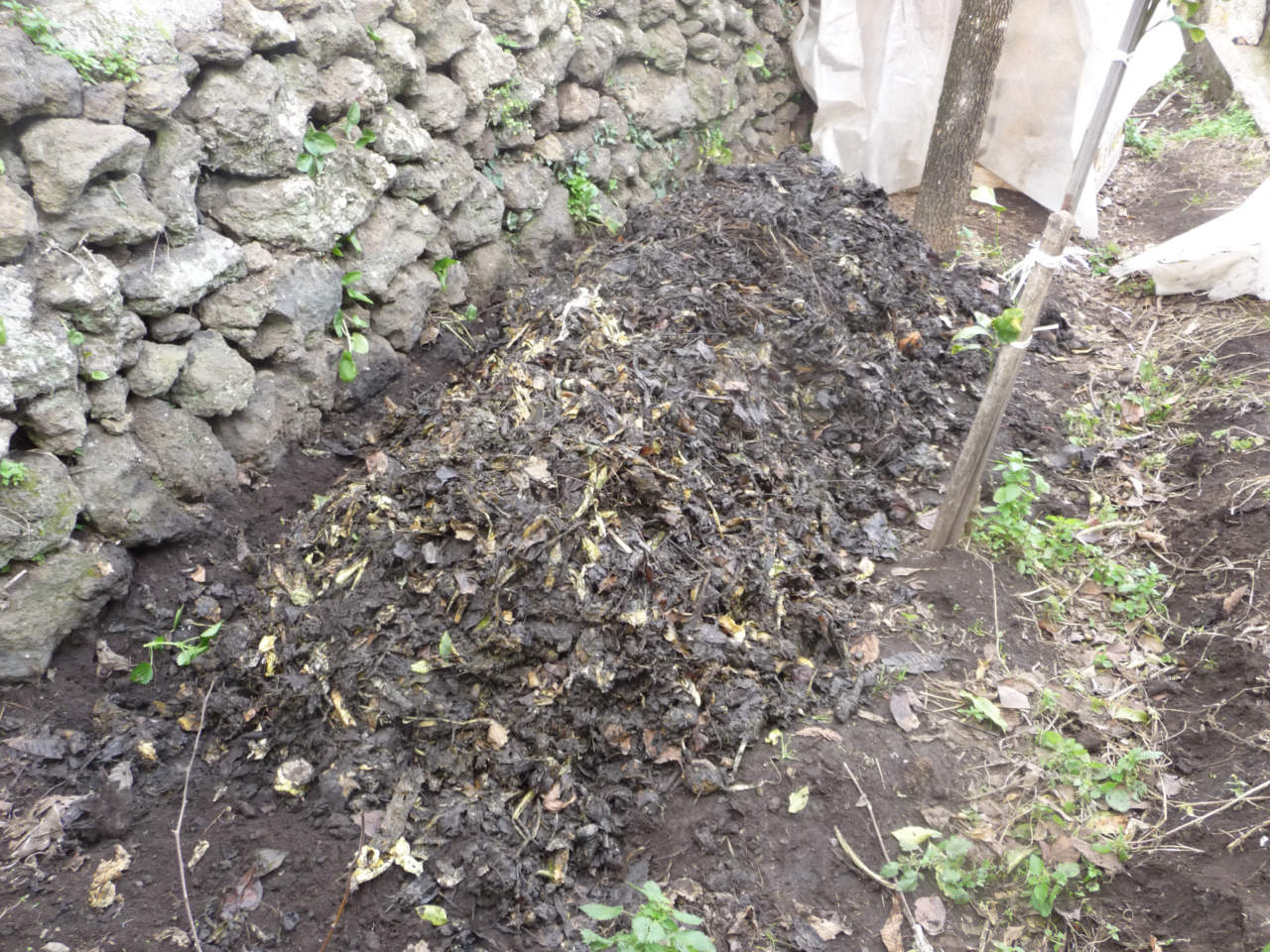 Cumulo da compostaggio