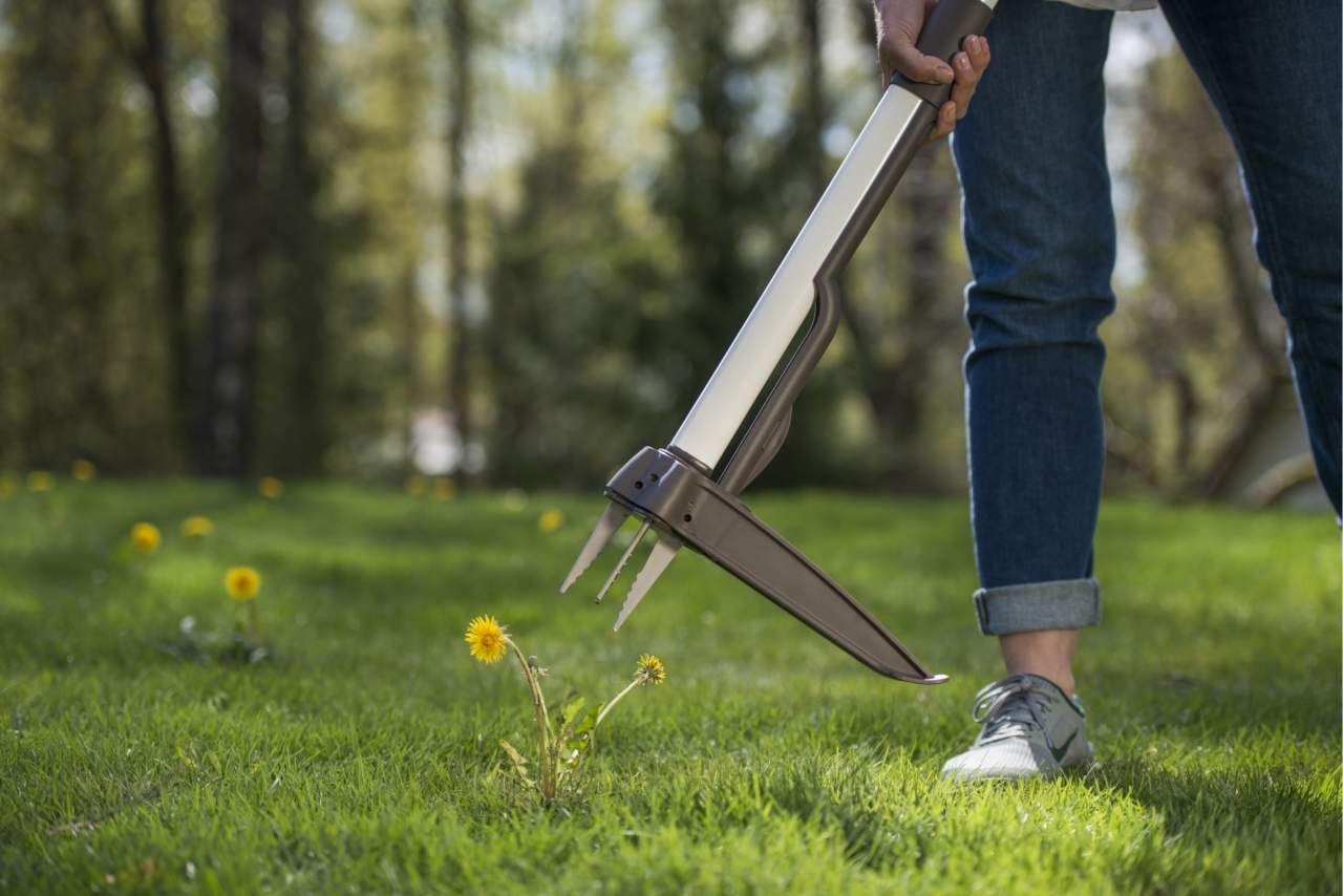 Estirpatore Fiskars
