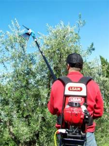 Brucatore o pettine per raccolta olive di Lisam