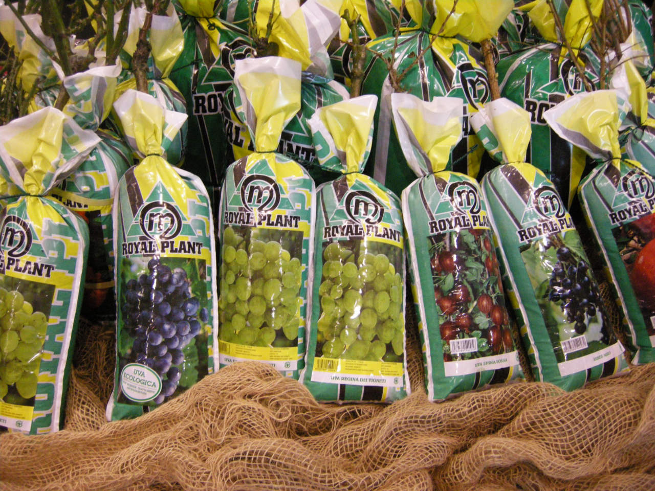 fruttiferi_pack