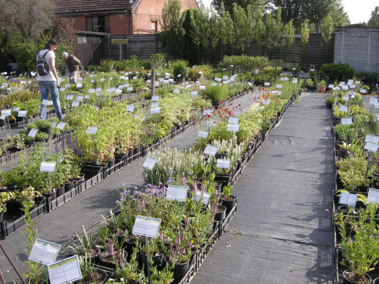 vivaio/garden center di medie dimensioni