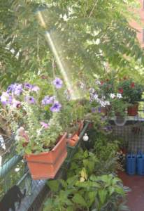 lavori in terrazzo in settembre