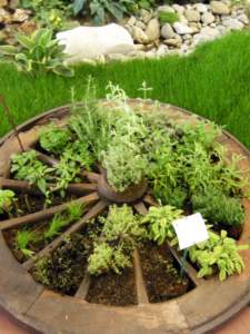 ecosostenibilità ruota di carro con aromatiche