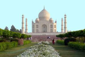 fiori di mattina di sera taj mahal