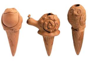 annaffiare le piante conci terracotta