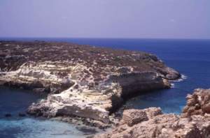 lampedusa isola dei conigli