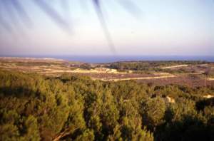 lampedusa rimboschimento