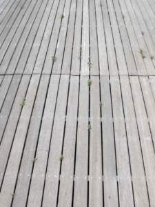 Pavimentazioni doghe legno