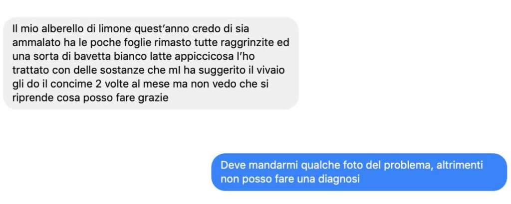 domande giardinaggio