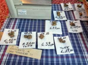tartufo raccoglie tartufo bianco prezzi