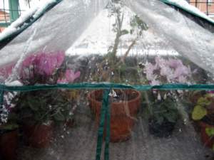serra balcone neve