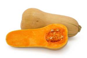 zucca ornamentale Butternut