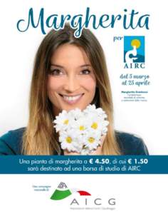 margherita airc