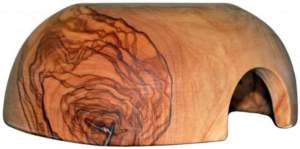 legno olivo terrario