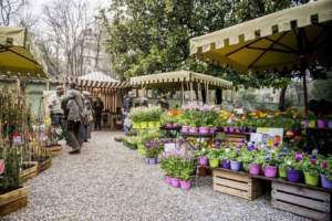 mostre giardinaggio soffio primavera