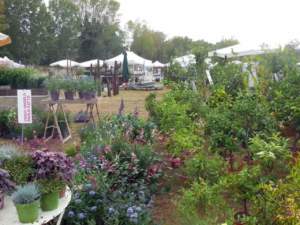 mostra giardinaggio