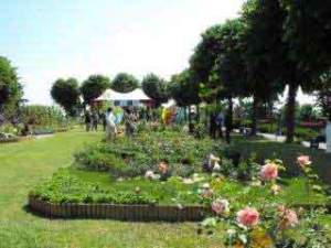 mostre mercato giardinaggio