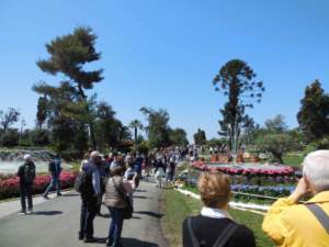 mostre mercato giardinaggio