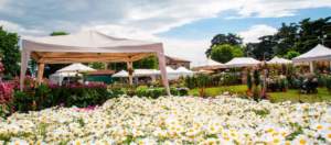 mostre mercato giardinaggio