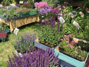 mostre mercato giardinaggio