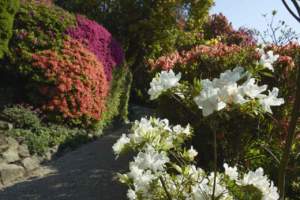mostre mercato giardinaggio villa carlotta