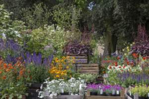 mostre mercato giardinaggio