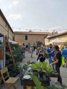 mostre mercato