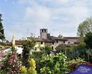 mostra mercato
