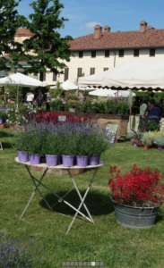 mostra mercato