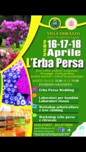mostre mercato giardinaggio erba persa