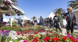 mostre mercato giardinaggio florviva pescara