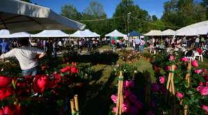 mostre mercato giardinaggio guastalla