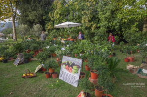mostre mercato giardinaggio giardini volturno