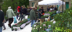 mostre mercato giardinaggio horti tergestini
