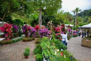 mostre mercato giardinaggio