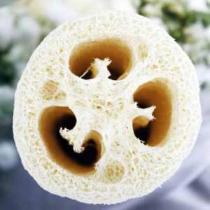 luffa frutto