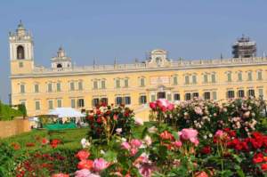 mostre mercato giardinaggio colorno