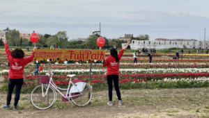 mostre mercato giardinaggio tulipark
